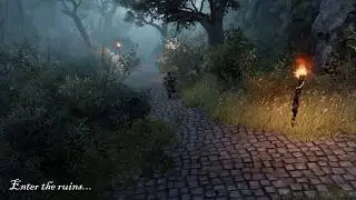 Divinity: Original Sin 2 