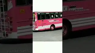 sana bus mass entry #shorts #youtubeshorts #viralvideo #sanabus