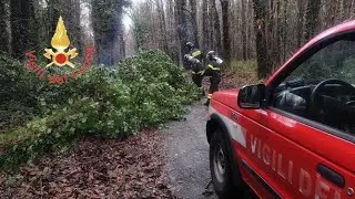 Maltempo, interventi in atto in tutta la Calabria: al lavoro i Vigili del Fuoco