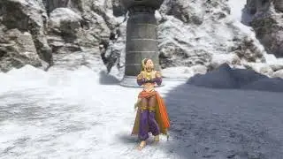DRAGON QUEST XI S Serena Emotes
