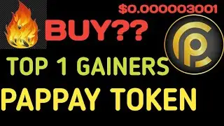 PAPPAY TOKEN REVIEW TODAY