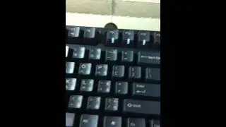 Ducky DK 9008 機械式鍵盤