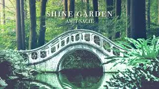 Amit Sagie, Nate lev - Fly