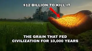 This Forgotten Food Fed Humanity for 10,000 Years&hellip; Then We Poisoned It