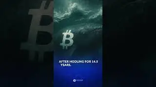 Crypto Whale Moved Almost $500M Worth of BTC Who Has Been in HODL for 14.5 Years