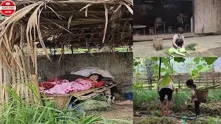 Poor Girl&rsquo;s Struggle for Survival | Catching Fish, Cooking Rice & Eating Alone
