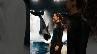 Jessica Radcliffe&rsquo;s Orca Attack Caught on Camera 🐋⚡#JessicaRadcliffe