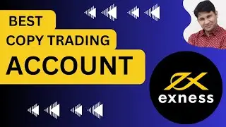 Best Exness Copy Trading Account| Standard Social vs Social Pro