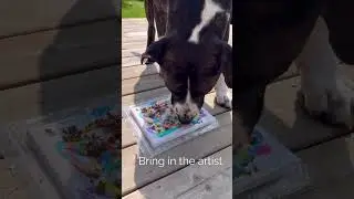 Mess-Free Canine Craft Idea: Lick Painting! 👅🎨