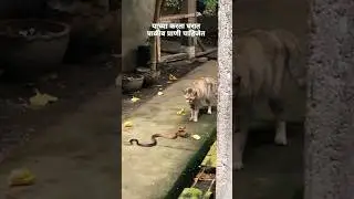 Marathi Comments Reading pt 758 🤣 | Instagram Marathi Reels Comments Reading | #shorts