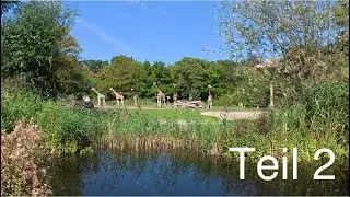 Kulkwitzer See, Zoo Leipzig Teil 2