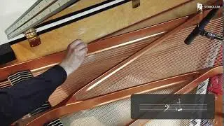 Extended Piano Techniques - Sweep plectrum along 2 strings