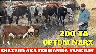 SHAXZOD AKA FERMASI GREFORD AVLIKOL 16 mlndan 20 mlngacha 2 /3mln ARZON LIBOY JOYDAN 1-qo'l