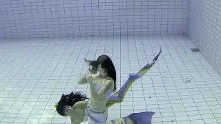 Mermaids fighting over seashells