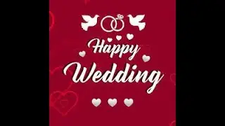 Komal Weds Rahul || Live By Mohit St Nilokheri || 9813437136 ||