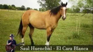 Saul Huenchul - El Cara Blanca