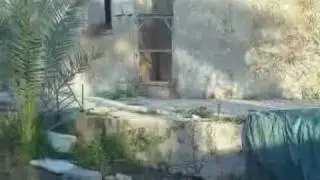 دار الخواجا - ضاحية شويكة