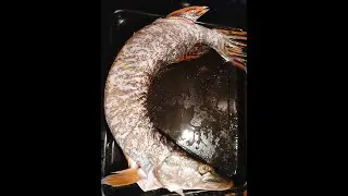 GRILL BIG FISH IN LESS THAN 1MIN| ZUZU'SFOODCLOSET