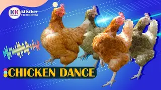 Chicken Dance, Chicken Song, Chicken, and Rooster Dance