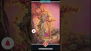 💯IMPORTANT GUIDANCE FOR TOMORROW 🎈🎈🎈#shorts#tarot