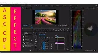 asc cdl filter in premiere pro #telugututorialtube #trending #vfx #premierepro