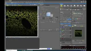 Setting up a Z-stack in NIS elements