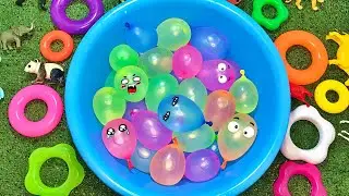 Rainbow Water Balloon Popping ASMR 🌈 | LIVE Satisfying Burst | 레인보우 물풍선 터뜨리기