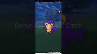 Catching Shadow Teddiursa | Pokemon Go
