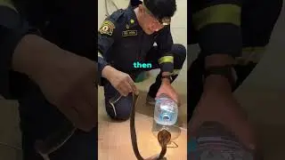 He saved a Snake #shorts