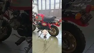 Fukumeru join this trend. #wadadachallenge #wadadadeng #loli #youtubeshorts #sparepartmotor