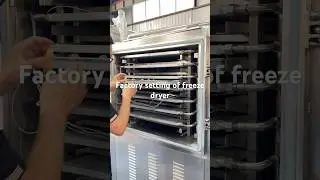 Commercial freeze-dryer 500KG#automobile #machine