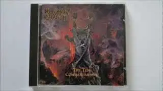 Malevolent Creation - Multiple Stab Wounds