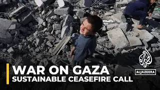 UK&rsquo;s David Cameron, Germany&rsquo;s Annalena Baerbock back &lsquo;sustainable ceasefire&rsquo; in Gaza