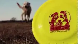 Latitude 64&deg; Bite Dog Discs