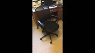 For Living Mesh Back Office Chair video review by Michael