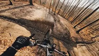 Fuchstrail Bensheim 2024 Raw 4K | Mondraker Crafty R @lukasschweller