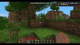 Old minecraft version for windows 95 that has a new entity/item and glitched texture??!?!