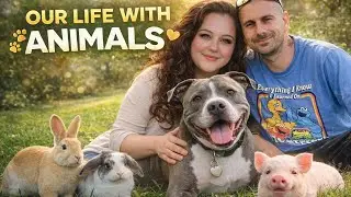 @Pitbull @Lovelypuppy_1 