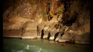 Tarija