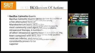 Non Muscle invasive bladder cancer
