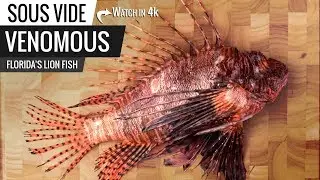 Sous Vide VENOMOUS Fish! Florida's Lion Fish