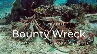 3-Minute Reefs: Bounty Wreck (Gili Islands) #3minutereefs #giliislands #scubadiving #wreckdive