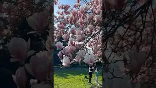 Топ локаций для фотосессии в Турине. #италия #турин
