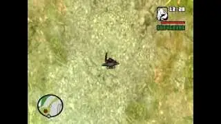 GTA San Andreas Bigfoot footprint