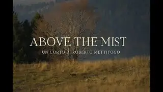 Above the Mist &mdash; Alba tra i caprioli in Lessinia | Cortometraggio naturalistico 4K HDR