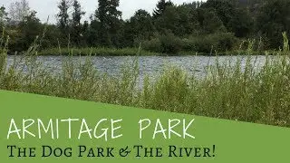Armitage Park / Eugene, Oregon / The Dog Park and The River!