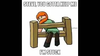 Steve you gotta help me im stuck