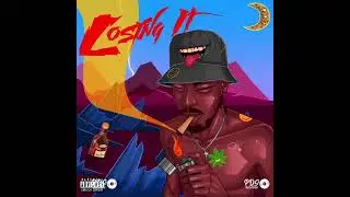 Barzy - Losing it (Visualizer)