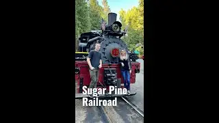Yosemite Mountain Sugar Pine Railroad | The Mitchell Group | #shorts