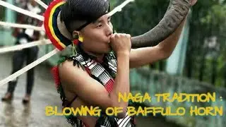 Naga Indigenous Tradition || Blowing of Buffalo Horn (Trumpet)